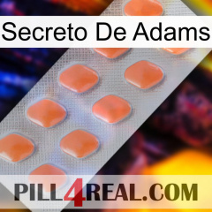 Adams Secret 26